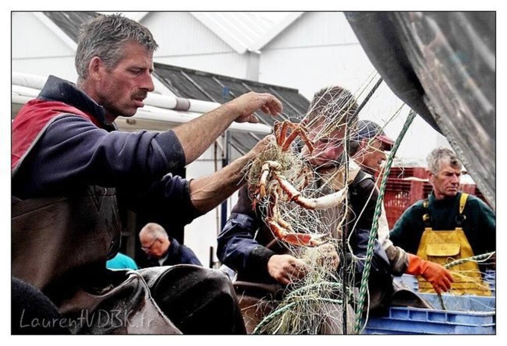 Superbe Propriete Bord De Mer - Le Clos Ricarda Sainte-Marguerite  Eksteriør bilde