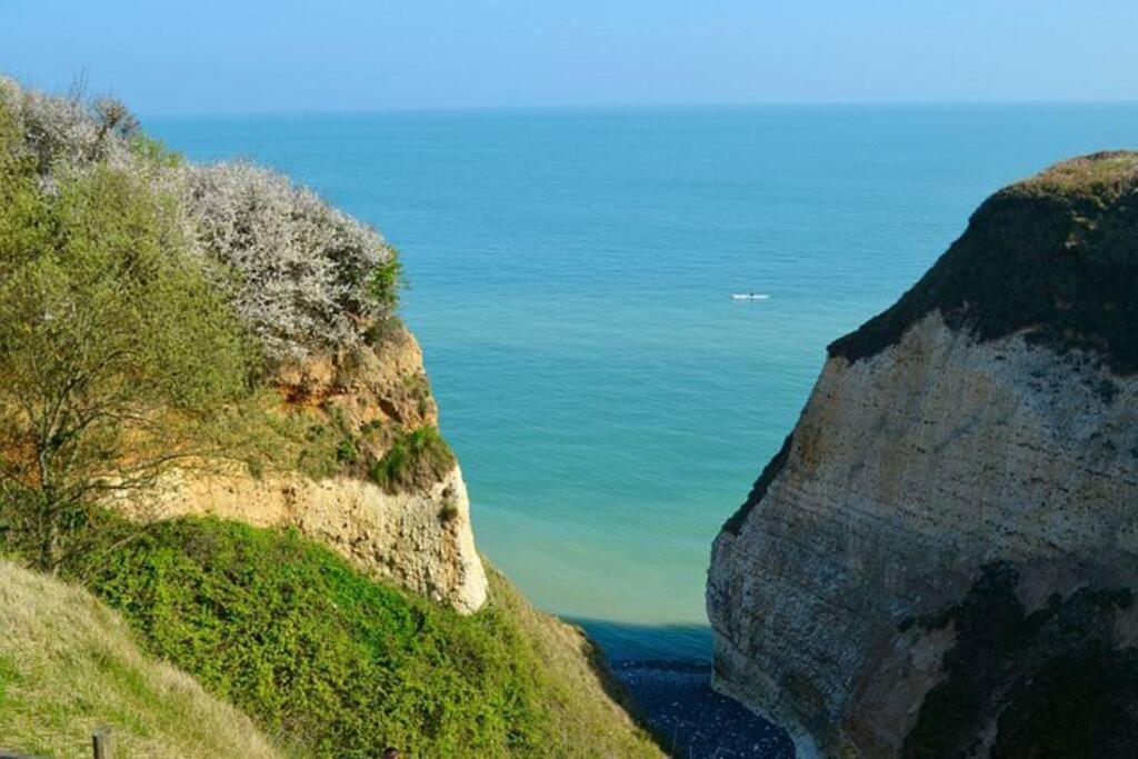 Superbe Propriete Bord De Mer - Le Clos Ricarda Sainte-Marguerite  Eksteriør bilde